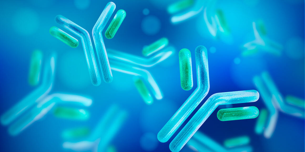 immunoglobuline