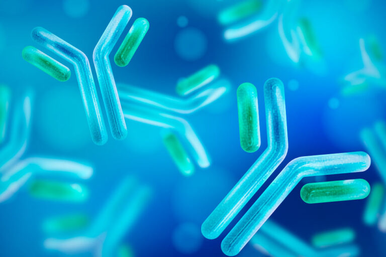 immunoglobuline