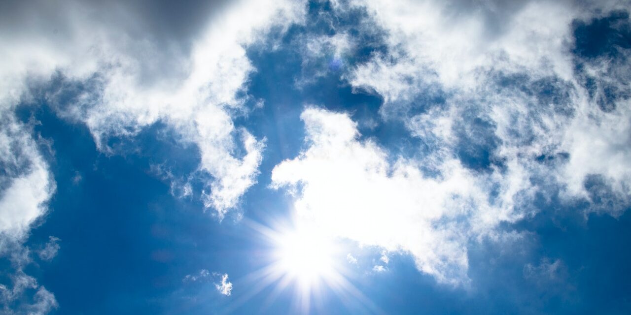 vitamina D